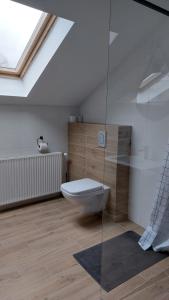 Ein Badezimmer in der Unterkunft APARTAMENTY MONTANIA WISŁA