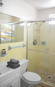 een badkamer met een toilet en een glazen douche bij Clematis House near Arlington Park with Heated Pool in Sarasota