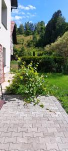Ein Garten an der Unterkunft APARTAMENTY MONTANIA WISŁA
