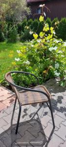 Ein Garten an der Unterkunft APARTAMENTY MONTANIA WISŁA