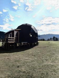 een zwarte koepeltent in een veld bij Lerun Sheg Lodge in Coihaique