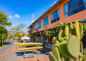 ein Gebäude mit Surfbrettern und Kaktuen davor in der Unterkunft La Zayapa Hotel in Puerto Baquerizo Moreno