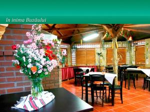 Nhà hàng/khu ăn uống khác tại Pensiunea Casa Matei