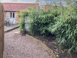a garden with a fence and some plants at Bramble Cottage in Ingoldisthorpe