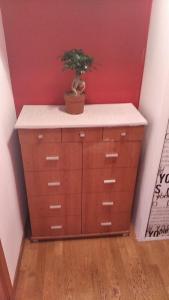 a plant sitting on top of a dresser in a room at Bloque de Viviendas in Ibiza Town