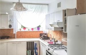 uma cozinha com armários brancos, um lavatório e uma janela em Beautiful Home In Dzwierzuty With Kitchen em Dźwierzuty