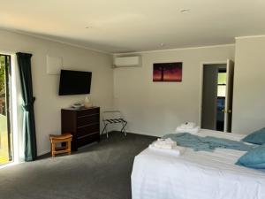 a bedroom with a large bed and a television at Treetops Cottage at the Castle in Whitianga
