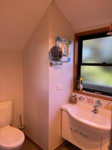 a bathroom with a toilet and a sink and a window at Treetops Cottage at the Castle in Whitianga