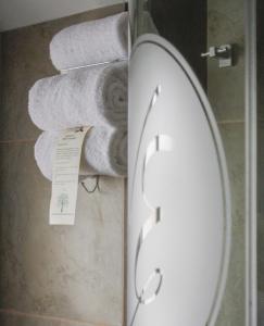 Koupelna v ubytování Villa Emilia Hostal