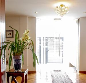 Fotografie z fotogalerie ubytování Villa Emilia Hostal v destinaci Cuenca