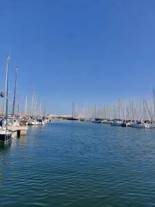 a bunch of boats are docked in a harbor at PRECIOSO BARCO EN EL PUERTO DE BADALONA in Badalona