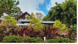 uma casa rodeada de árvores e plantas em Log Cabin Hotel - Safari Lodge Baguio em Baguio
