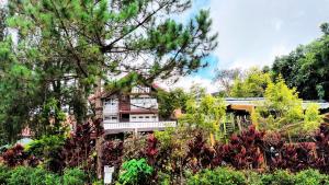 Zahrada ubytování Log Cabin Hotel - Baguio