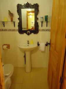 ein Badezimmer mit einem WC, einem Waschbecken und einem Spiegel in der Unterkunft El Salto del Agua Auténtico El Molino de la Cascada Orbaneja in Orbaneja del Castillo