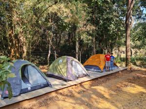 Foto dalla galleria di Captain's Camp a Sirsi