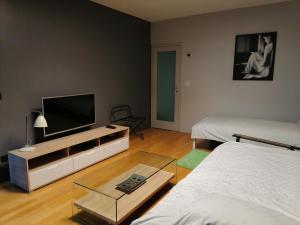 a living room with two beds and a flat screen tv at Apartment Green Oasis Zagreb in Zagreb