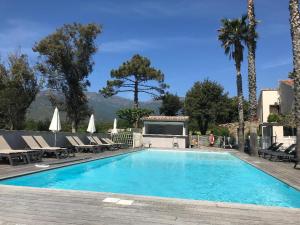 a large swimming pool with lounge chairs and trees at Hôtel Restaurant Les Chasseurs in Marine de Pietracorbara