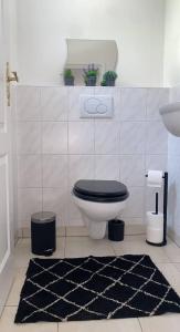 La salle de bains est pourvue de toilettes, d'un lavabo et d'un tapis. dans l'établissement Le cocon d'Emma, à Sélestat