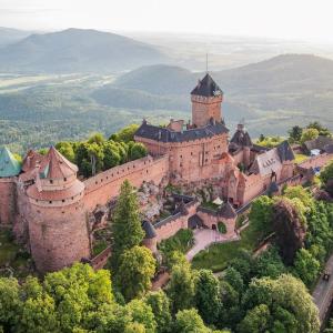 uma vista aérea de um castelo nas árvores em Le cocon d'Emma em Sélestat