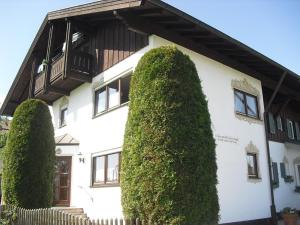 a white house with two large trees in front of it at Ferienwohnungen Sonja in Bernau am Chiemsee