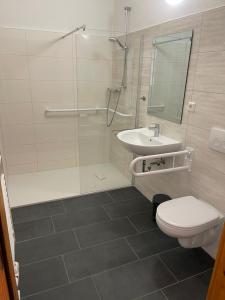 een badkamer met een douche, een toilet en een wastafel bij Ferienwohnanlage Königerode in Königerode