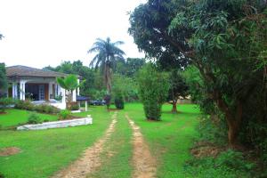 a dirt road in the yard of a house at Egg Botanical View in Entebbe