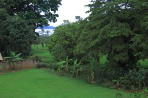 a garden with green grass and trees and a fence at Egg Botanical View in Entebbe
