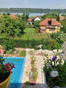 een achtertuin met een zwembad en een aantal planten bij Apartmani Jugovo Vazdušna banja - rodjendani za decu in Udovice