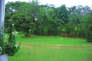 a green field with trees in the background at Egg Botanical View in Entebbe