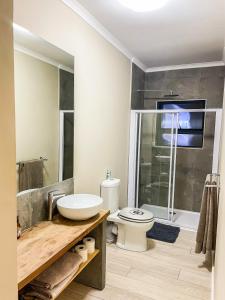 een badkamer met een wastafel, een toilet en een douche bij UysTUYS in Kaapstad