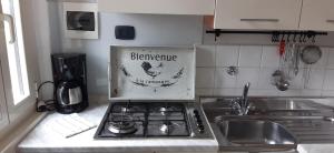 un bancone della cucina con lavandino e la foto di un pollo di Nido alla Riva - Falco Ferienwohnung a Pianello Del Lario