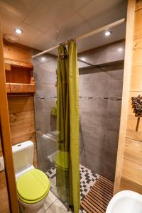 ein Bad mit einem WC und einer Dusche in der Unterkunft Igloo - Appartement 9 pers - Chatel Reservation in Châtel