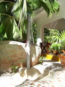 a palm tree sitting on top of a rock at Chalets Anse Possession in Baie Sainte Anne