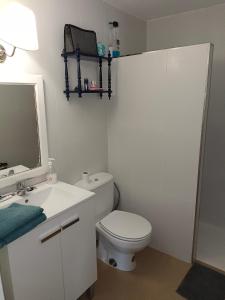 een badkamer met een toilet, een wastafel en een spiegel bij Monumento S.XVI Corralas in Sevilla