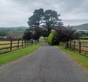 a road with a fence and trees on the side at Loughview Retreat in the Mournes in Newcastle