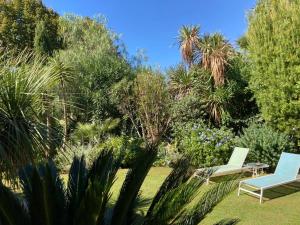 A garden outside Joey