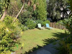 A garden outside Joey