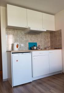 Virtuvė arba virtuvėlė apgyvendinimo įstaigoje Akropolis Apartment for You
