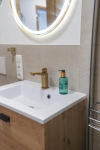 a bathroom sink with a bottle of soap on it at Ferienwohnung "Wie dahoam" in Chieming