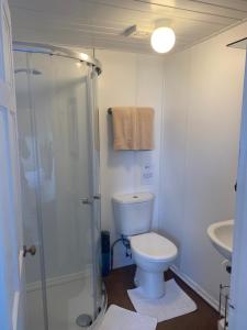 a bathroom with a toilet and a glass shower at White Heather Guest House in Mablethorpe
