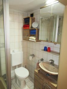 uma casa de banho com um WC e um lavatório em Plattenberger Hof em Waging am See