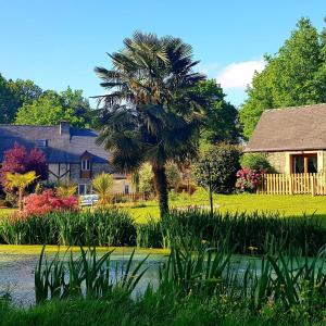 un palmier dans une cour à côté d'une maison dans l'établissement Le Vieux Moulin Gites - A charming stone cottage with garden view and seasonal pool, à Guégon