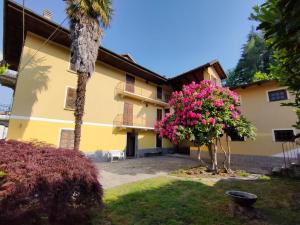 un edificio amarillo con flores rosas en el patio en Antico Albergo di Cavaglia Sterna, en Varallo