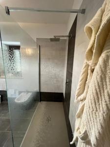 een badkamer met een douche en een glazen deur bij Campo della Corte in Castelpagano