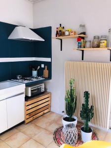 Kuchyňa alebo kuchynka v ubytovaní Appartement cosy en ville haute