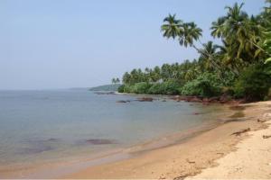 a beach with palm trees and the ocean at Luxurious 5BHK Peace Villa Siridao Goa Beach in Panaji