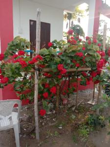 a table filled with red flowers in front of a building at Subansiri lodge in Majuli