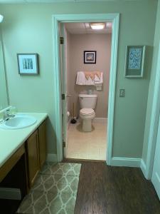 een badkamer met een toilet, een wastafel en een spiegel bij River Place Condos #205 2BD in Pigeon Forge