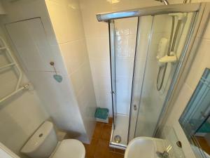 a bathroom with a shower and a toilet and a sink at Tudor Apartment (Panoramic Sea Views) in Trearddur