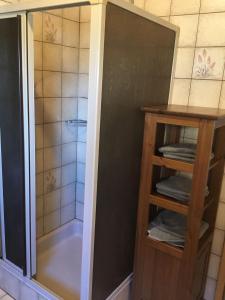 a shower in a bathroom with a glass door at Ferienwohnung-Bayrisch-Nizza in Sulzbach am Main